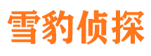 静海侦探公司